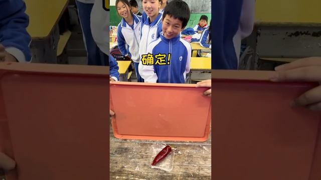 快期中考试了，中午带孩子们放松一下。“要还是不要”挑战，这也太好玩了吧最后一个你们说要还是不要？师生日常 可爱的学生 课后娱乐 смотреть онлайн