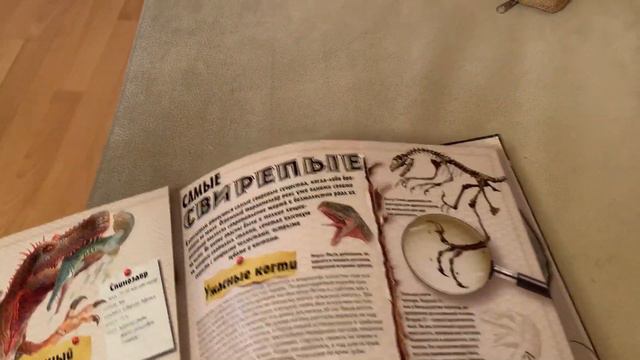 IMG 01281 смотреть онлайн