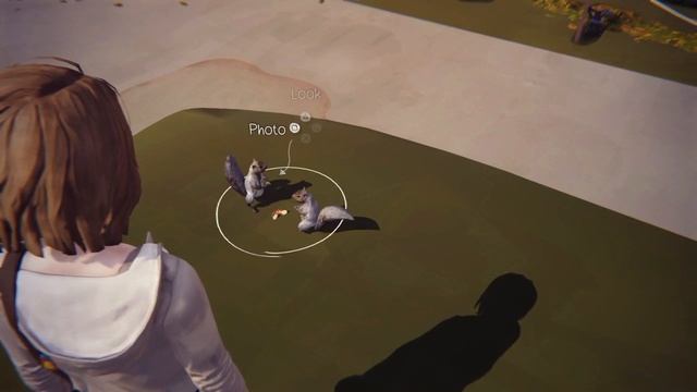 Life is Strange - Shutterbug Trophy Guide (Take all optional photos in Episode 4: Dark Room) смотреть онлайн