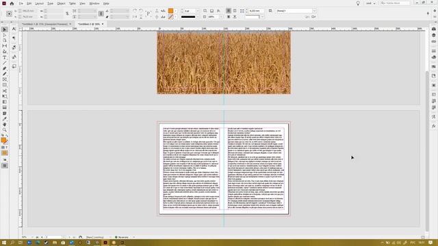 семинар «Создание документов в InDesign с учетом разных форматов полиграфической продукции» смотреть онлайн