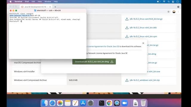 HOW TO INSTALL JAVA IN MAC OS AND SET JAVA_HOME смотреть онлайн
