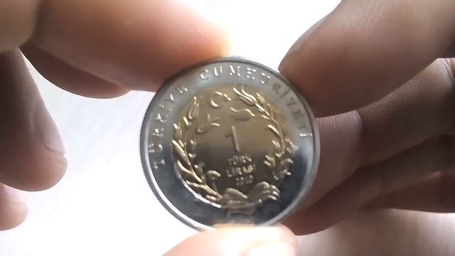 Биметаллические монеты Турция 1 лира 2010 (202) Кошка