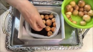 Лук на перо.  На подоконнике. В целлофановом пакете.