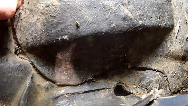 Вода в салоне. Где течет Volkswagen Santana (Passat B2)? смотреть онлайн