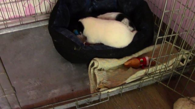 Дни из жизни 18 02 2017✽ТОЛЬКО ДЛЯ ДРУЗЕЙ✽