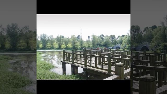 Мощная рогатка на трех резинках. Рогатка для охоты и рыбалки. Рогатка спортивная, с упором. смотреть онлайн