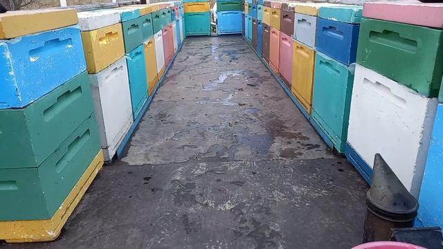 Обзор прицепа для перевозки пчел (пчелоприцепа) смотреть онлайн