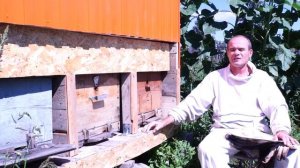 Апитерапия: Апидомик - сон на ульях