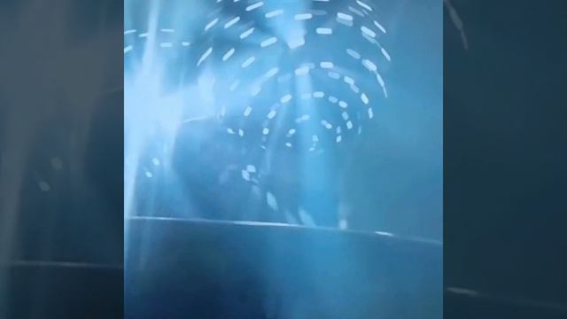 Пою "Королева "Автор Мэри Сказ смотреть онлайн