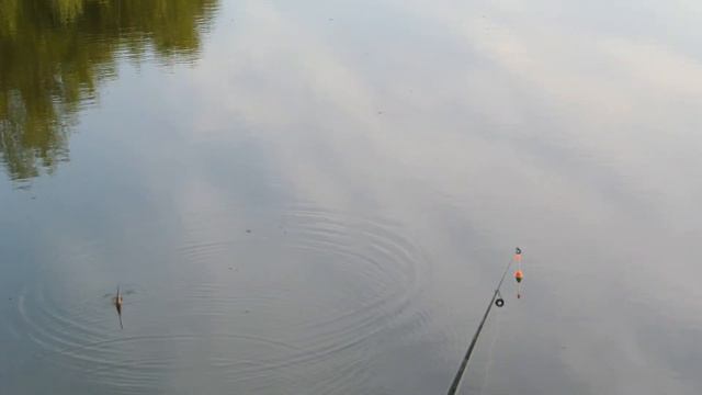 на рыбалку с ночевкой в калужской губернии... смотреть онлайн