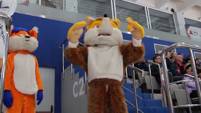 Республиканский турнир по хоккею с шайбой на призы глав районов Республики Мордовия (финал) смотреть онлайн