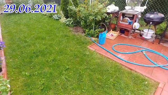 Бросила сад и укатила в отпуск? К чему вернулась через неделю... смотреть онлайн