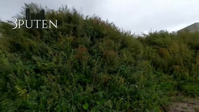 Обзор «Omakulma-Annino» | Загородный дом | Инвестиции | Загородная недвижимость | Жить за городом смотреть онлайн