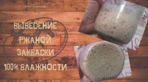 Выведение ржаной закваски 100% влажности с нуля. Как сделать ржаную закваску дома