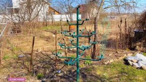 Цветущее Дерево из петунии? своими руками.