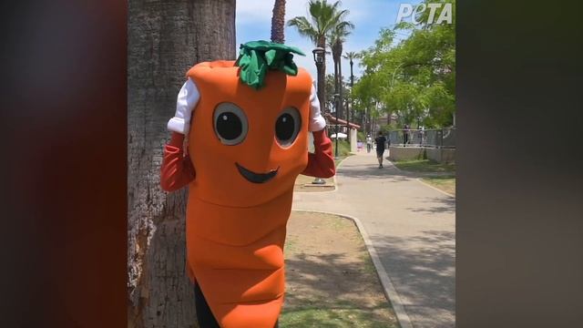 Don’t Play with Your Veggies, Eat Them! смотреть онлайн