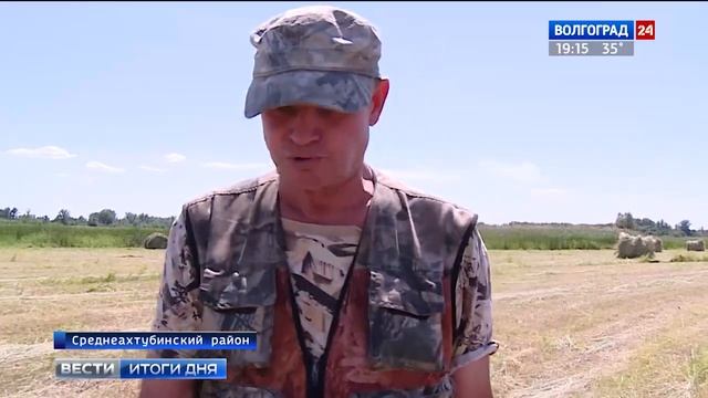 В Волгоградской области начался сенокос смотреть онлайн