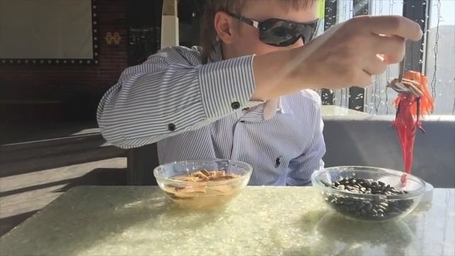 романтический ужин ну скорее обед с Аской смотреть онлайн
