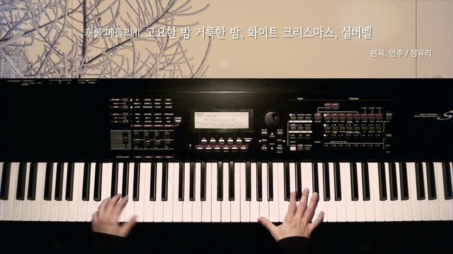 [동락] 겨울에 피아노 캐롤 메들리2(고요한 밤 거룩한 밤, 화이트 크리스마스, 실버벨) (by 정유리) смотреть онлайн