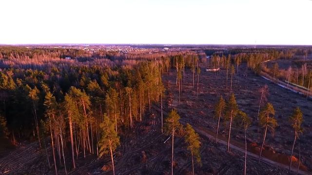 ЖК Лесобережный от Urban Group. Обзор новостройки в Подмосковье. Апрель 2017 смотреть онлайн
