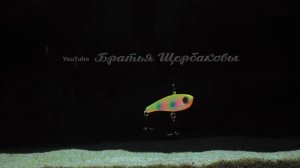 Как виб Chata Bee Jumprize играет на глубине 6 м. Хитрая игра! ПОДВОДНЫЕ СЪЕМКИ