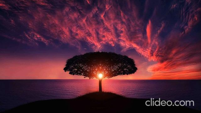 Natural Light - Chris Haugen смотреть онлайн