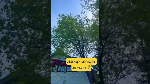 СОСЕД ПОСТАВИЛ ЗАБОР. КАК СПИЛИТЬ ДЕРЕВО #участок #стройка #дачныйвлог #дача #экскаватор #jcb #сад смотреть онлайн