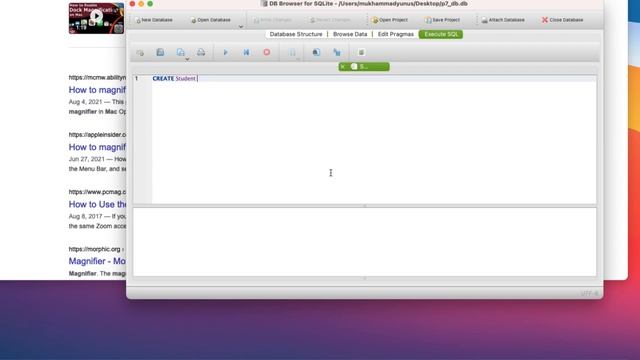 P-7 22. DB Browser for SQLite (05.01.2023) смотреть онлайн