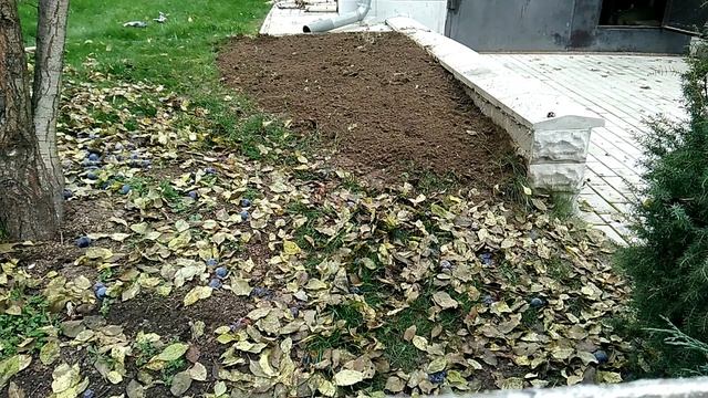 РУЧНОЙ ЭЛЕКТРОКУЛЬТИВАТОР ЭЛЕКТРОТЯПКА Eurosystems Lucciola 220V/250Wt. Серия 1