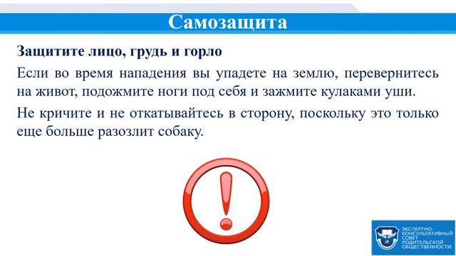 Правила поведения при нападении собак смотреть онлайн
