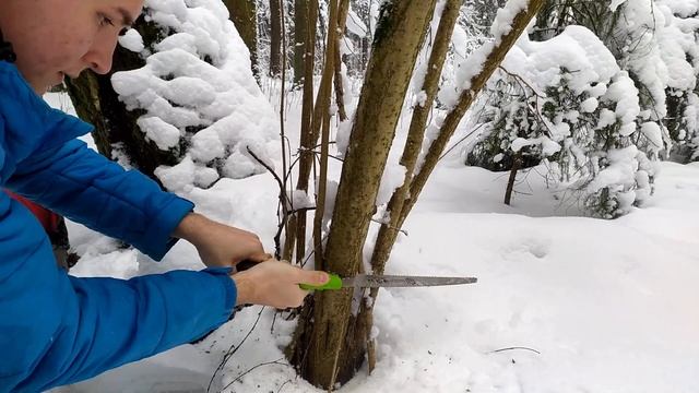 Строим шалаш на дереве, изучаем старинный лес. смотреть онлайн