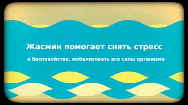 Заказать-чай.ру - цветочный чай из поднебесной смотреть онлайн