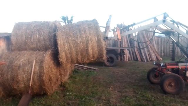 Трактор.Т-16, разгрузка сена в рулонах смотреть онлайн