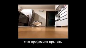 ребята, я джампер