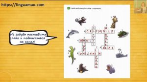 Spotlight 4 класс Workbook страница 30 номер 1 ГДЗ решебник