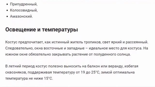 Костус. Растения для дома и сада. смотреть онлайн
