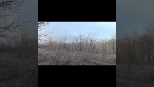 ловля снегирей смотреть онлайн