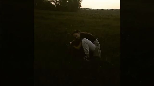 Кокер спаніель смотреть онлайн