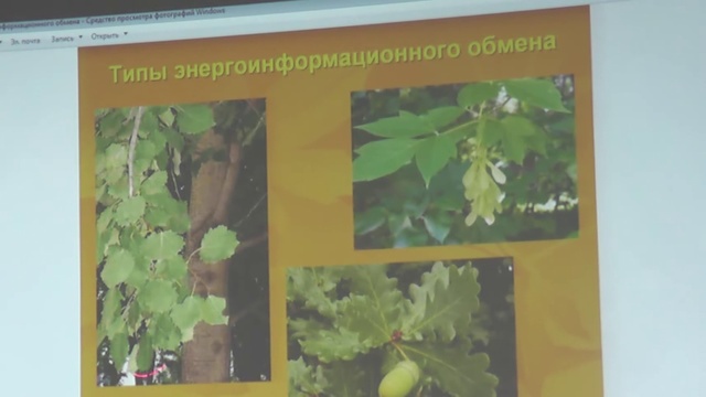 Практический опыт применения биолокации в дендротерапии. смотреть онлайн