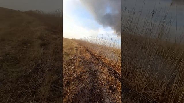 За экологию в Астрахани! Горит Астраханский заповедник. смотреть онлайн