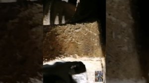 Замена стоек стабилизаторов и шаровых опор на Шевроле Каптива С100