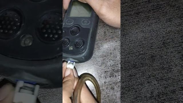 Calibration manual GMI PS200 смотреть онлайн