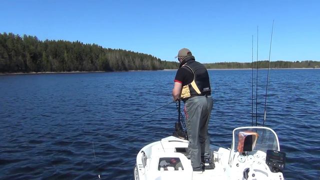 Щука после нереста. Открытие сезона 2019. Ловля щуки смотреть онлайн