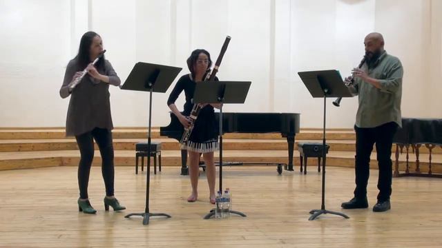 Three Observations for Three Woodwinds смотреть онлайн