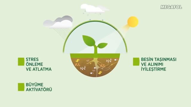 Valagro: Megafol смотреть онлайн