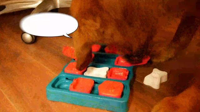 SMART BOY WITH A SMART TOY смотреть онлайн