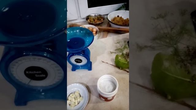 Груздь оливковый солёный горячим посолом смотреть онлайн