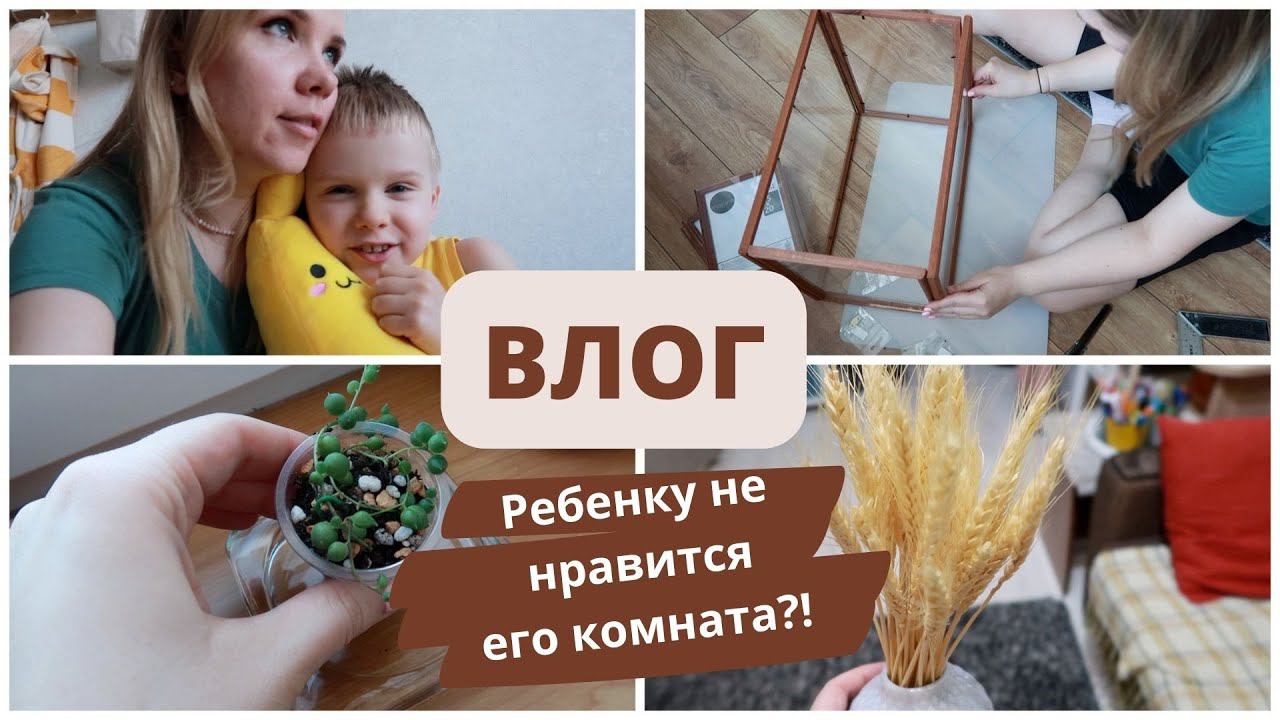 ВЛОГ: мои растения / тепличка на подоконник / Теме не нравится его комната смотреть онлайн
