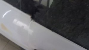 Рено Меган 3 снятие ручки двери и лючка в сборе.