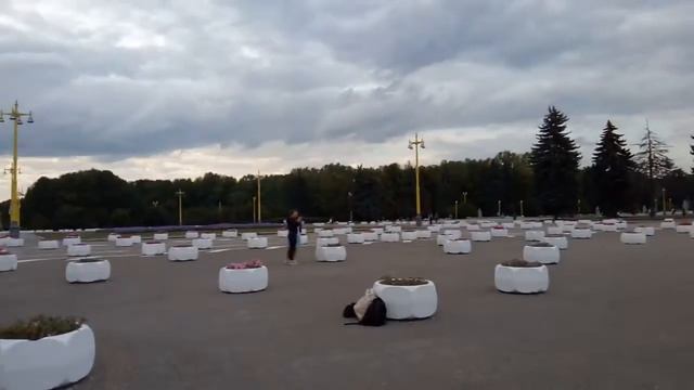 Москва 746 улица Академика Самарского, главное здание МГУ, Университетская площадь осень день смотреть онлайн